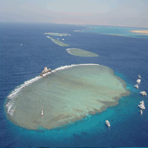 Snorkeling Tour at Tiran Island in Sharm El Sheikh